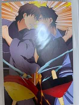 Amazon.co.jp: FateZero ポストカード 言峰綺礼 衛宮切嗣 : おもちゃ